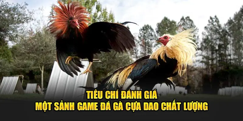 Đá Gà Cựa Dao Tại 8kbet - Sảnh Nhà Cái Số 1 Việt Nam 2 Tiêu chí đánh giá một sảnh game đá gà cựa dao chất lượng.